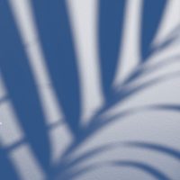 Referenzen_Neutral